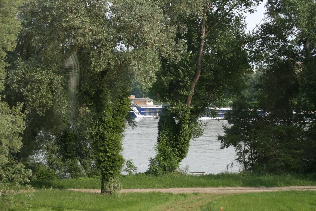 Gaestehaus Egger Emmersdorf an der Donau Dış mekan fotoğraf